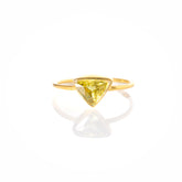 【スフェーン】17号 #SPNF-1711