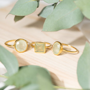 【プレナイト】 15号 #PNF-1502