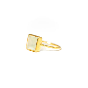 【プレナイト】 10号 #PNF-1003