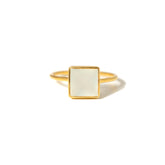 【アクアカルセドニー】 15号 #AQF-1501