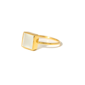 【アクアカルセドニー】 15号 #AQF-1501
